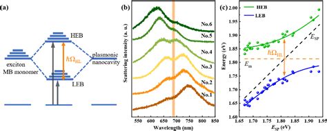 Double Rabi Splitting In Methylene Blue Dye Ag Nanocavity Semantic