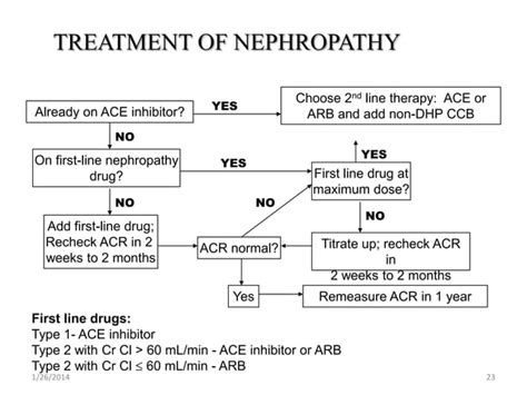 Pathophysiology And Therapy Of Diabetic Nephropathy Ppt