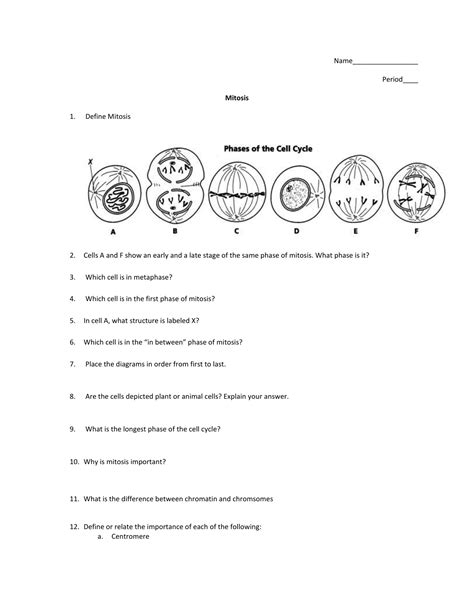 Answer Key Mitosis Worksheets