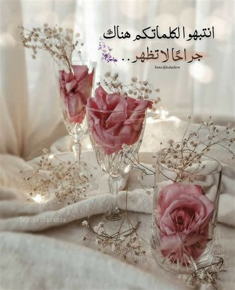 Pin By Janjoun Joun On Arabic Picture Quotes Good Morning Photos