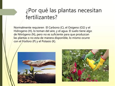 Beneficios Y Riesgos Del Uso De Fertilizantes Y Plaguicidas Ppt