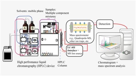 Liquid Chromatography Tandem Mass Spectrometry Diagram Liquid