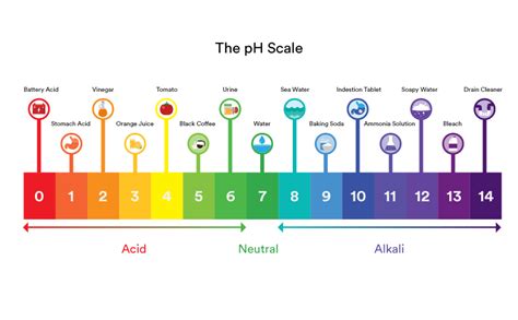 What Is Water Ph Level