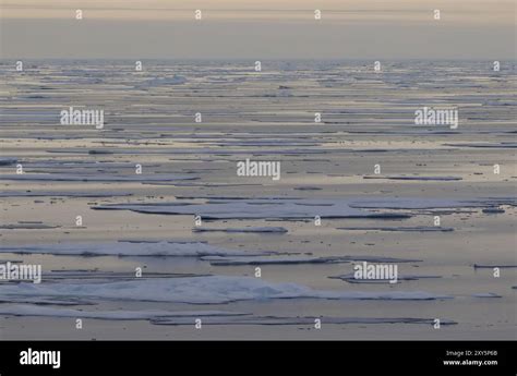 Arctic pack ice near the Svalbard archipelago Stock Photo - Alamy 