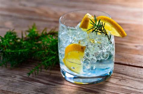 Arriba 65 Imagen Receta Del Gin Tonic Abzlocal Mx