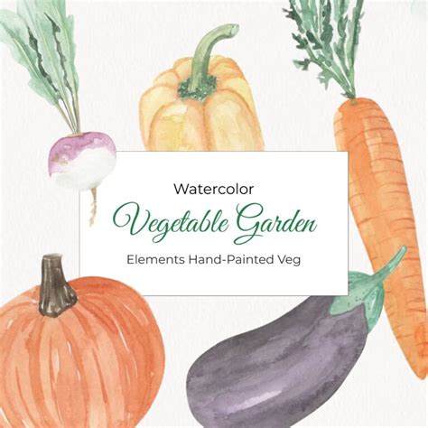 Watercolor Vegetables Clipart Masterbundles