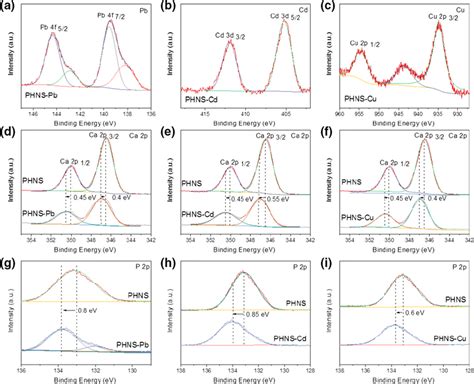 High Resolution XPS Spectra Of A Pb 4f Cd 3d Cu 2p Ca 2p And C P 2p