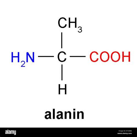 Alanin Hi Res Stock Photography And Images Alamy