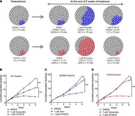 JCI Insight Targeting ESR1 Mutationinduced Transcriptional Addiction