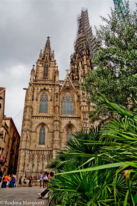 La Cattedrale Barcellona