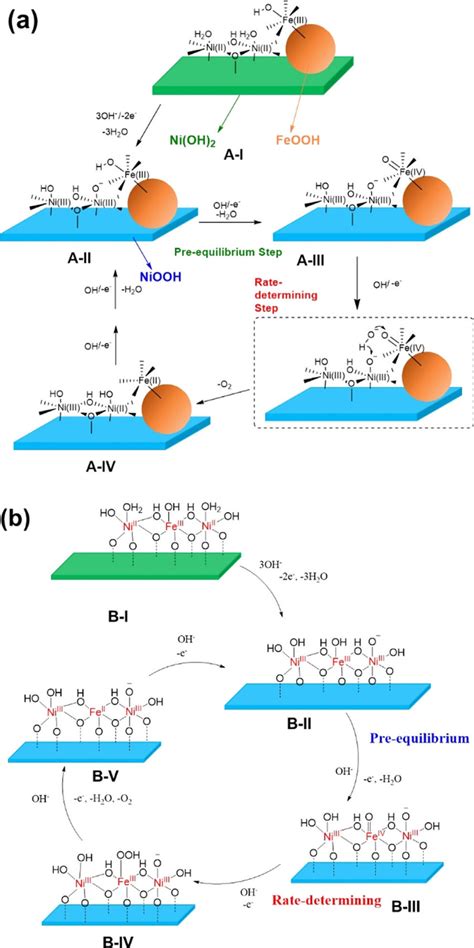 Proposed Oer Reaction Mechanisms Of A Feooh Niooh B Nife Ldh