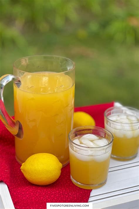 Fruit Lemonade Recipes - Five Spot Green Living