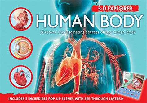 3 D Explorer Human Body 3d Explorers Amazon Price Tracker