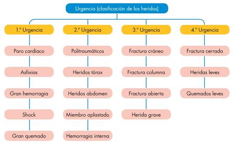 Orden De Atenci N En Caso De Heridos M Ltiples Primeros Auxilios