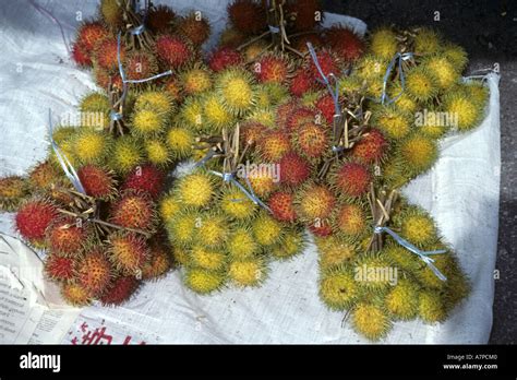 Rambutan fruits at the market, Malaysia, Sarawak, Kuching Stock Photo ...