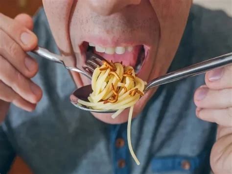 Comida do futuro por que devemos incluir insetos no cardápio Bem