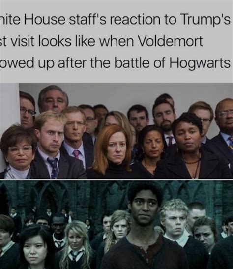 25 Of The Most Hilarious Harry Potter Memes