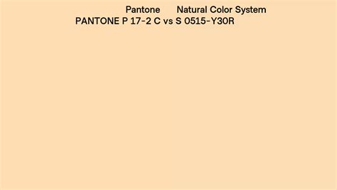 Pantone P C Vs Natural Color System S Y R Side By Side