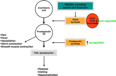 Eicosanoid Metabolism Exposing Dysregulation Of PGH2 And COX2 As