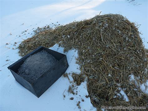 Using Wood Ash In Chicken Manure