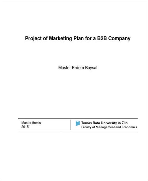 B B Marketing Plan Template Prntbl Concejomunicipaldechinu Gov Co