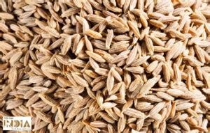 Jeera (Cumin Seeds): Jeera Health Benefits, Uses, & Side Effects