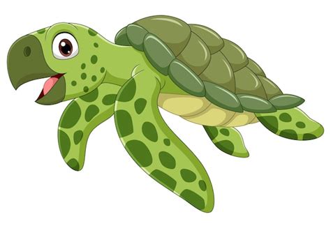 Premium Vector Cartoon Sea Turtle Isolated