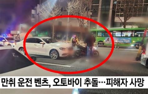 사람 죽었는데 강아지 안고 멀뚱···음주운전 강남 벤츠女에 공분