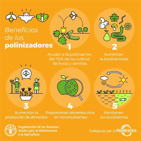 FAO en español on Twitter La polinización es esencial para la vida en