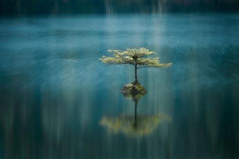 Asombrosas Fotos De La Patagonia Argentina Premiadas Por El