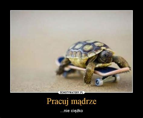 Pracuj M Drze Demotywatory Pl