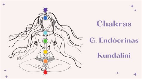 Chakras y su relación con las Glándulas endócrinas Edgar Cayce YouTube