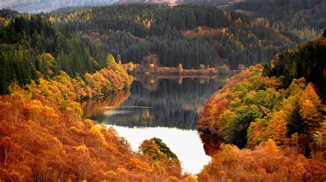 How To Determine Your State's Peak Foliage Timing For All Your Fall Pics