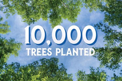 We Have Planted 10000 Trees