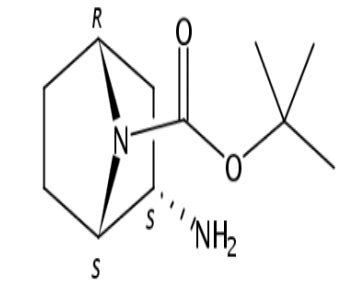 Tert Butyl 1R 2R 4S Rel 2 Amino 7 Azabicyclo 2 2 1 Heptane 7