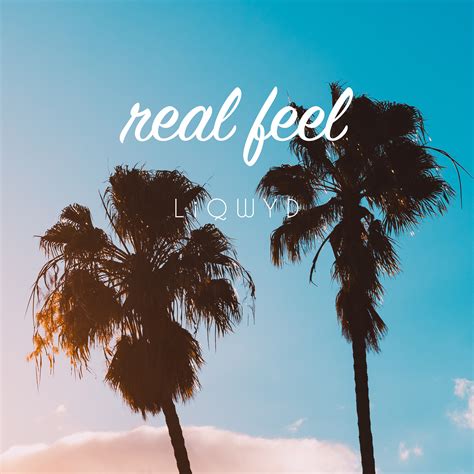 Real Feel (Free download) by LiQWYD