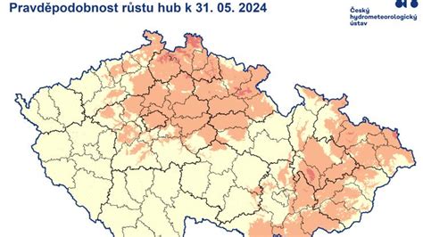 Galerie Houbová mapa 2024 Kde rostou houby Houbaři hlásí první