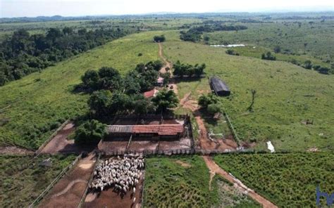 Fazenda Na Estrada Municipal De S O F Lix Do Xingu Km Zona Rural