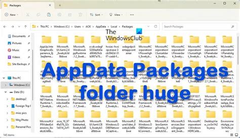 Appdata Packages Windows Zanz