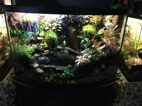 Pin by DERAME EDDY on TERRANIUM DE RÊVE Aquarium Gecko terrarium