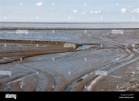 Watt Wattenmeer Nordseekueste Ostfriesland Niedersachsen