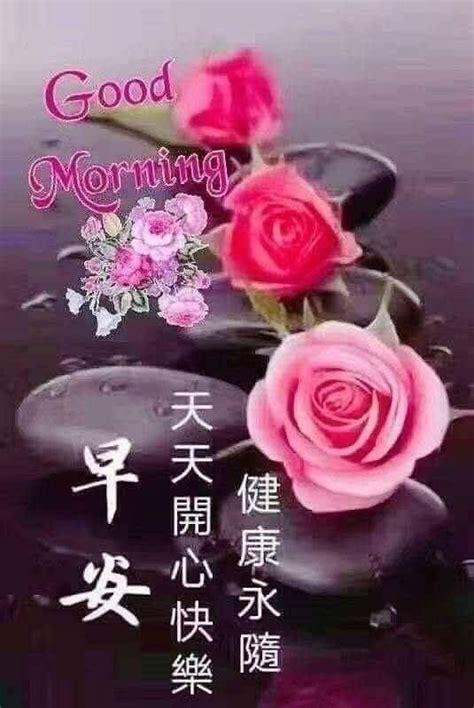 Pin by xiong on tei bei 东西 早 in 2024 Good morning wishes Morning