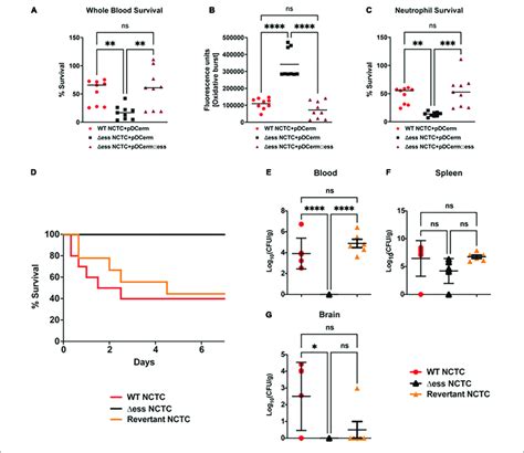 Gbs S Protein Is Critical For Gbs Virulence In Vitro And In Vivo A