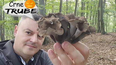 CRNE TRUBE 2023 Lat Craterellus Cornucopioides YouTube