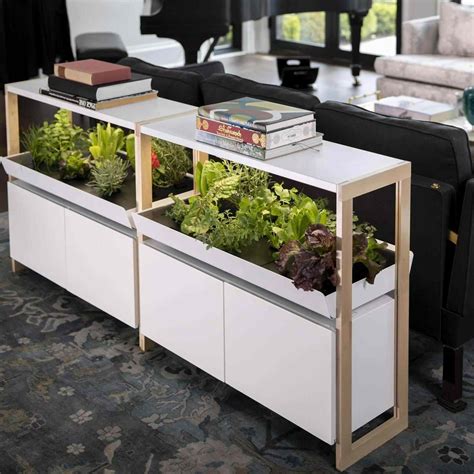 The 7 Best Indoor Garden Systems Of 2022