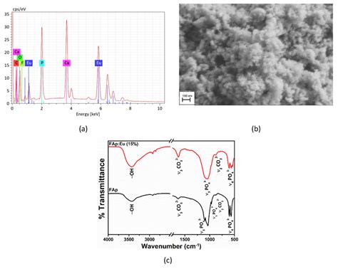 A Eds Spectra And B Sem Image Of Fap Eu 15 Showing The Presence Download Scientific