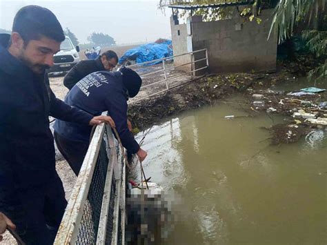 Reyhanlı da sulama kanalında erkek cesedi bulundu Marmaris Manşet