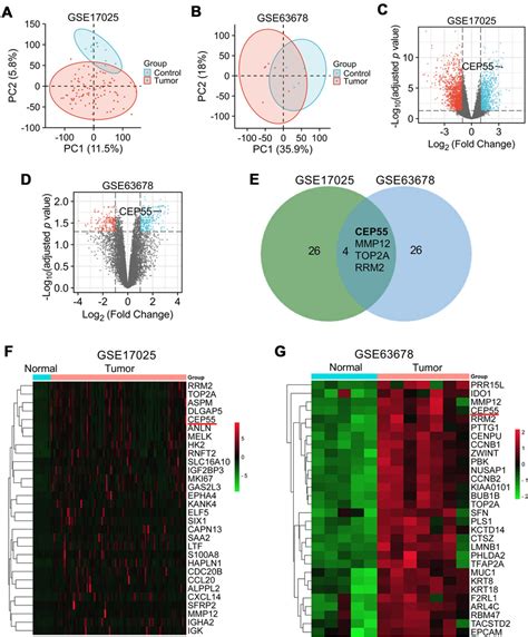 The Differentially Expressed Genes In Endometrial Cancer A And B The