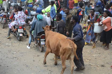 Bukavu Braquage à Kadutu un homme blessé par balle Gorilla FM PNKB