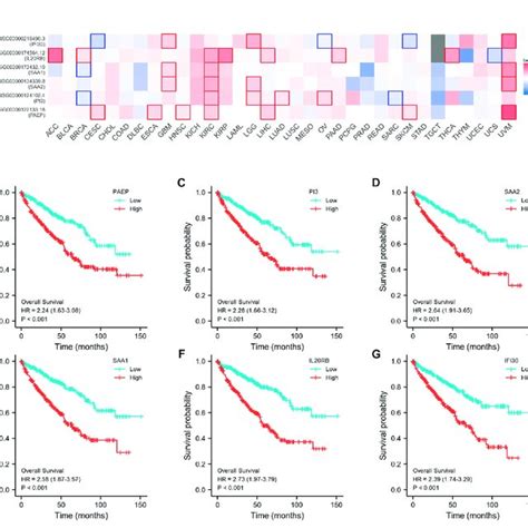 Prognostic Analysis Of Six Immunity Related Genes In Kirc A